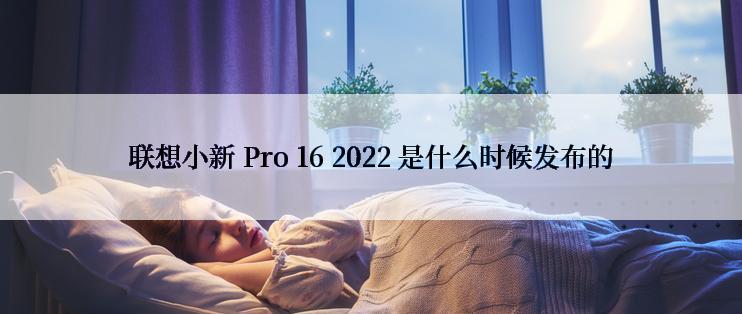 联想小新 Pro 16 2022 是什么时候发布的