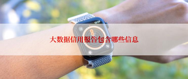 大数据信用报告包含哪些信息