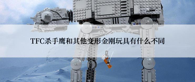 TFC杀手鹰和其他变形金刚玩具有什么不同