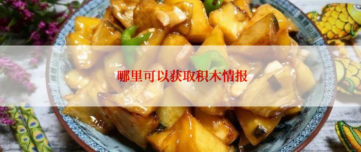 哪里可以获取积木情报