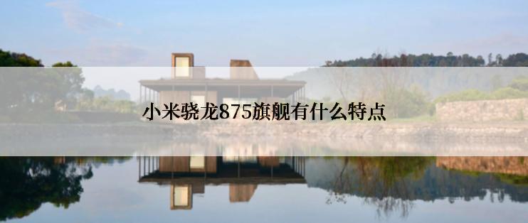 小米骁龙875旗舰有什么特点