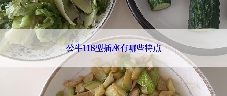公牛118型插座有哪些特点