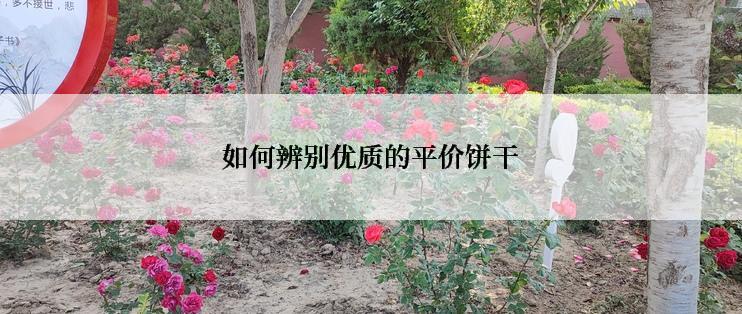 如何辨别优质的平价饼干