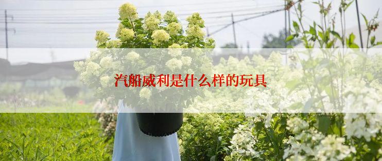 汽船威利是什么样的玩具