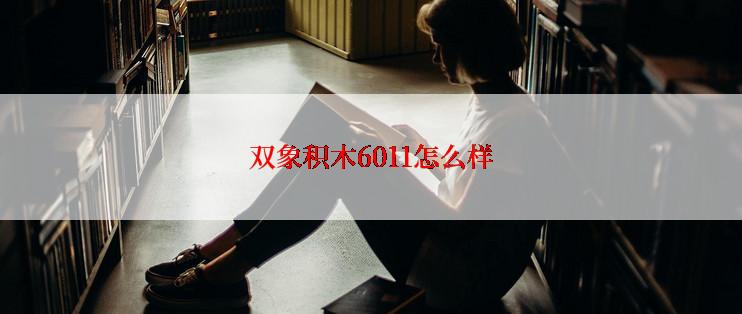 双象积木6011怎么样