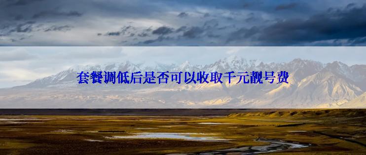 套餐调低后是否可以收取千元靓号费