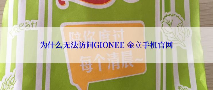 为什么无法访问GIONEE 金立手机官网