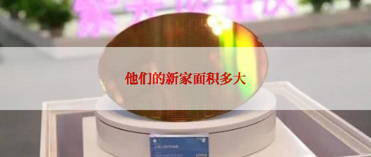 他们的新家面积多大