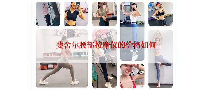 斐舍尔腰部按摩仪的价格如何