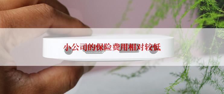 小公司的保险费用相对较低