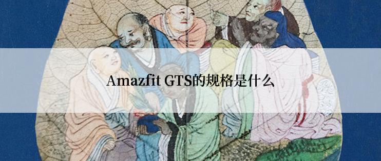 Amazfit GTS的规格是什么