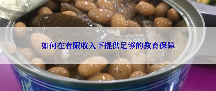 如何在有限收入下提供足够的教育保障