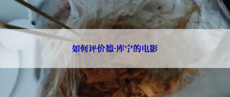 如何评价德·库宁的电影