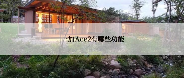 一加Ace2有哪些功能