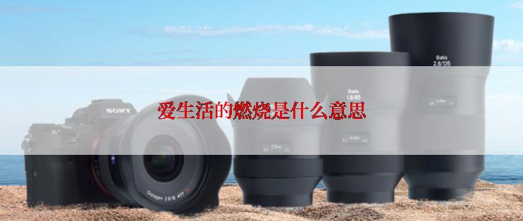 爱生活的燃烧是什么意思