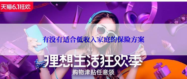 有没有适合低收入家庭的保险方案