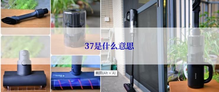 37是什么意思