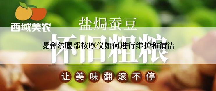 斐舍尔腰部按摩仪如何进行维护和清洁