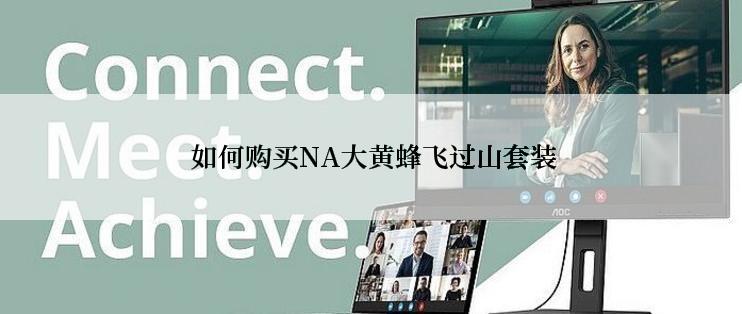 如何购买NA大黄蜂飞过山套装