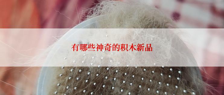 有哪些神奇的积木新品