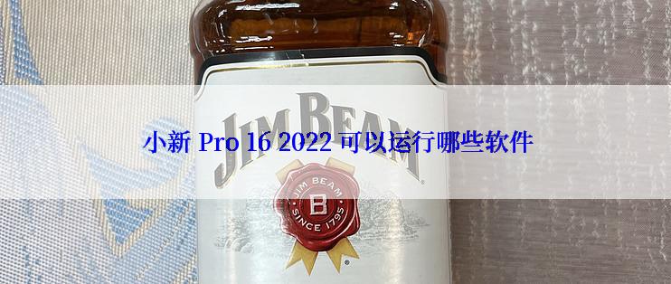 小新 Pro 16 2022 可以运行哪些软件