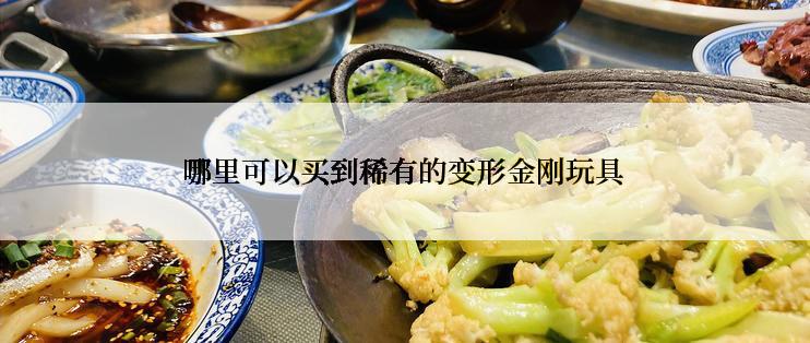 哪里可以买到稀有的变形金刚玩具