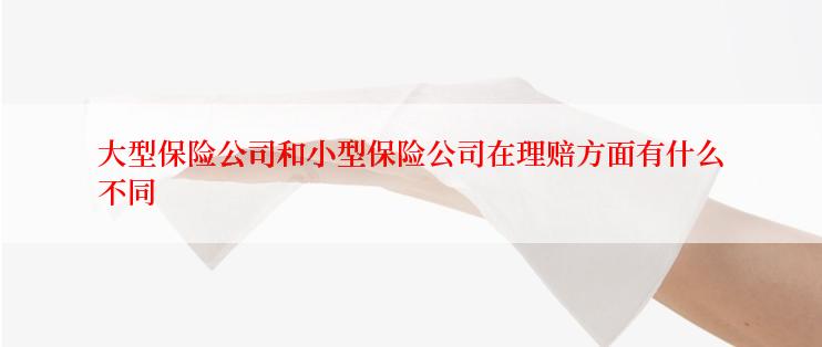 大型保险公司和小型保险公司在理赔方面有什么不同