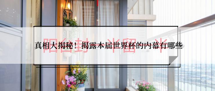  真相大揭秘！揭露本届世界杯的内幕有哪些