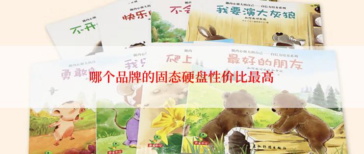 哪个品牌的固态硬盘性价比最高