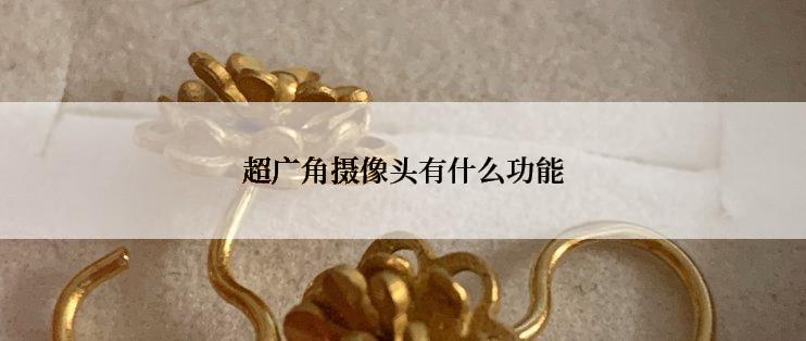 超广角摄像头有什么功能
