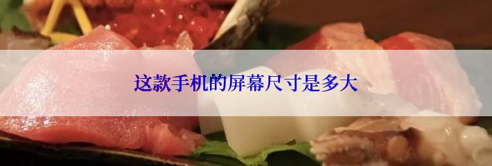 这款手机的屏幕尺寸是多大