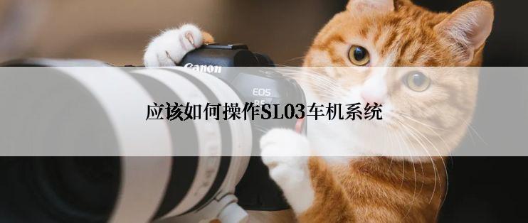 应该如何操作SL03车机系统