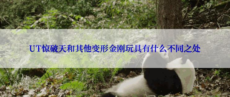 UT惊破天和其他变形金刚玩具有什么不同之处