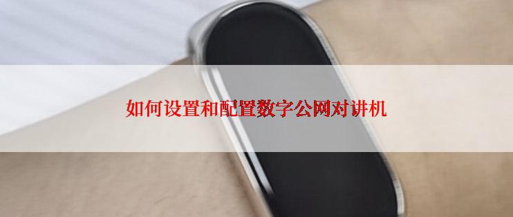 如何设置和配置数字公网对讲机
