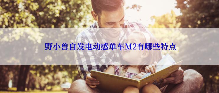  野小兽自发电动感单车M2有哪些特点