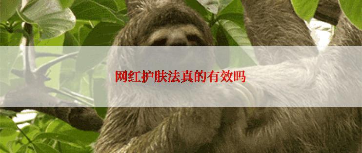 网红护肤法真的有效吗