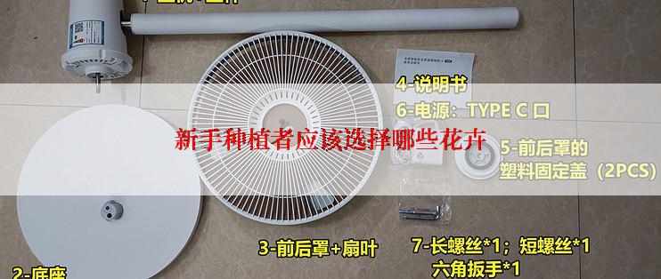 新手种植者应该选择哪些花卉