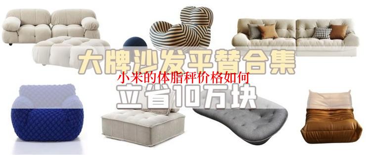 小米的体脂秤价格如何