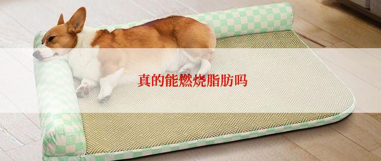  真的能燃烧脂肪吗