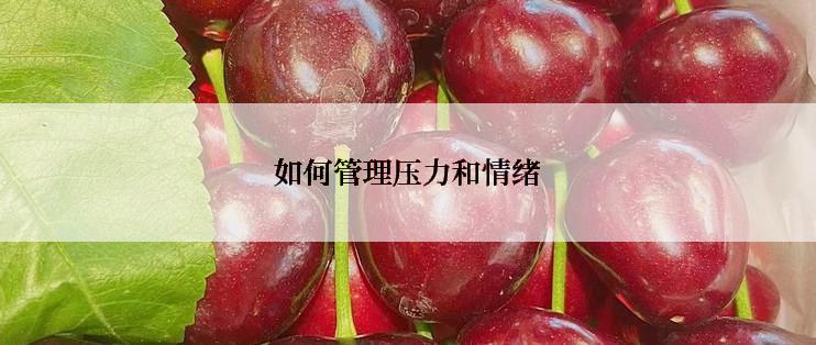 如何管理压力和情绪