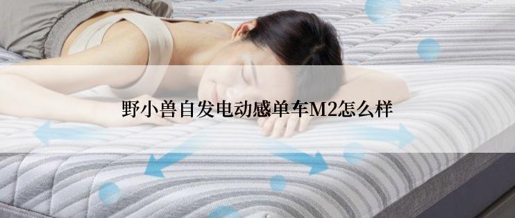 野小兽自发电动感单车M2怎么样