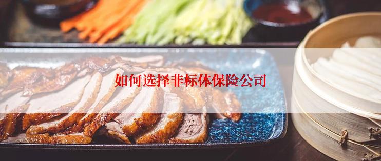如何选择非标体保险公司