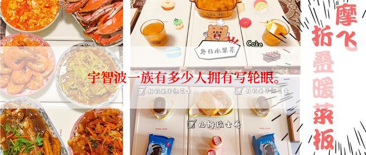 宇智波一族有多少人拥有写轮眼。