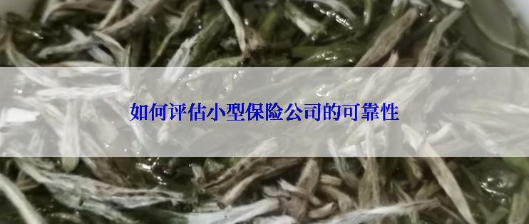如何评估小型保险公司的可靠性