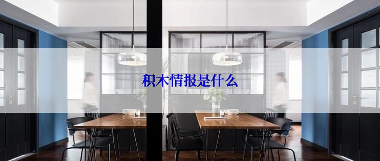 积木情报是什么