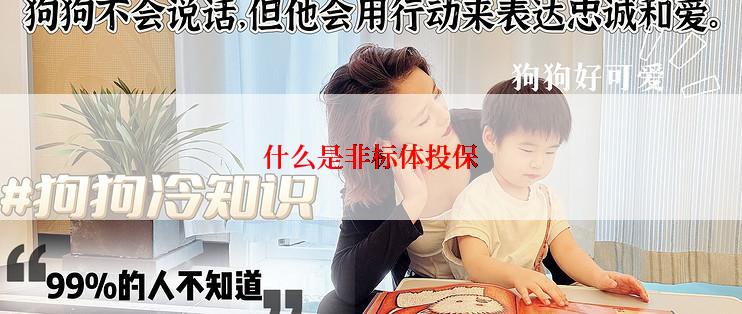 什么是非标体投保
