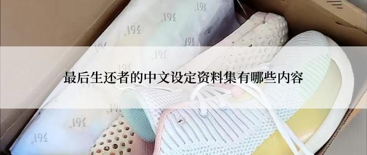 最后生还者的中文设定资料集有哪些内容