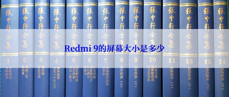 Redmi 9的屏幕大小是多少