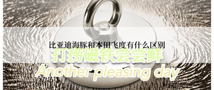 比亚迪海豚和本田飞度有什么区别