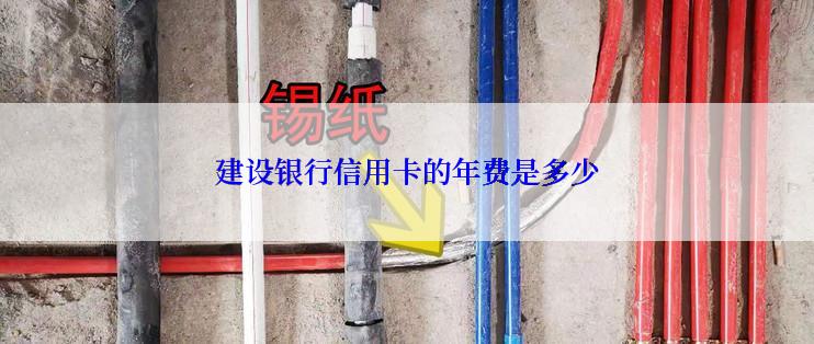 建设银行信用卡的年费是多少